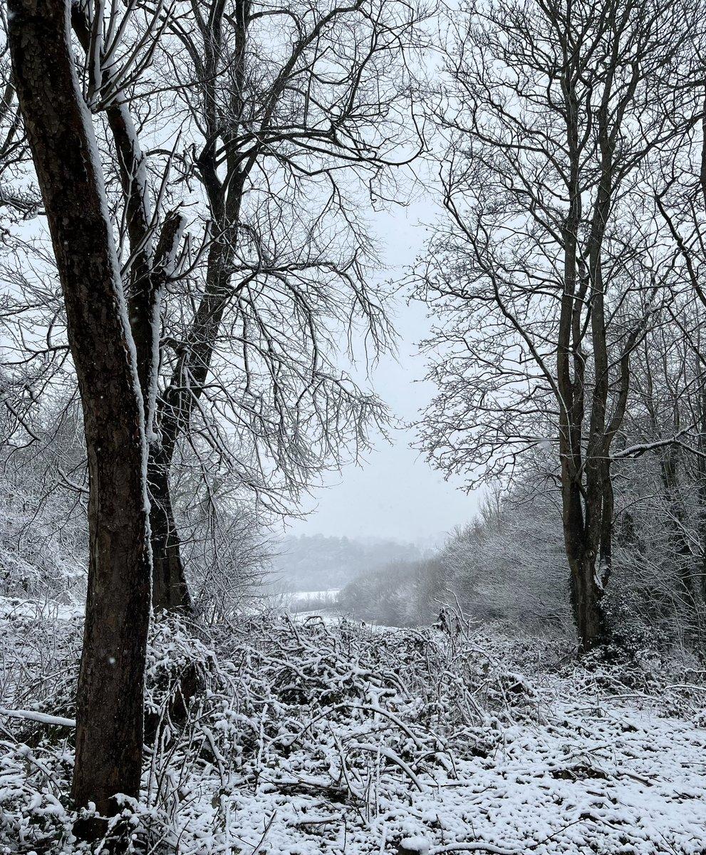 Survey Image